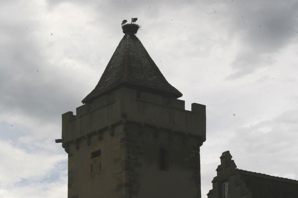 Gite Duplex Du Vignoble Alsace 鲁法克 外观 照片
