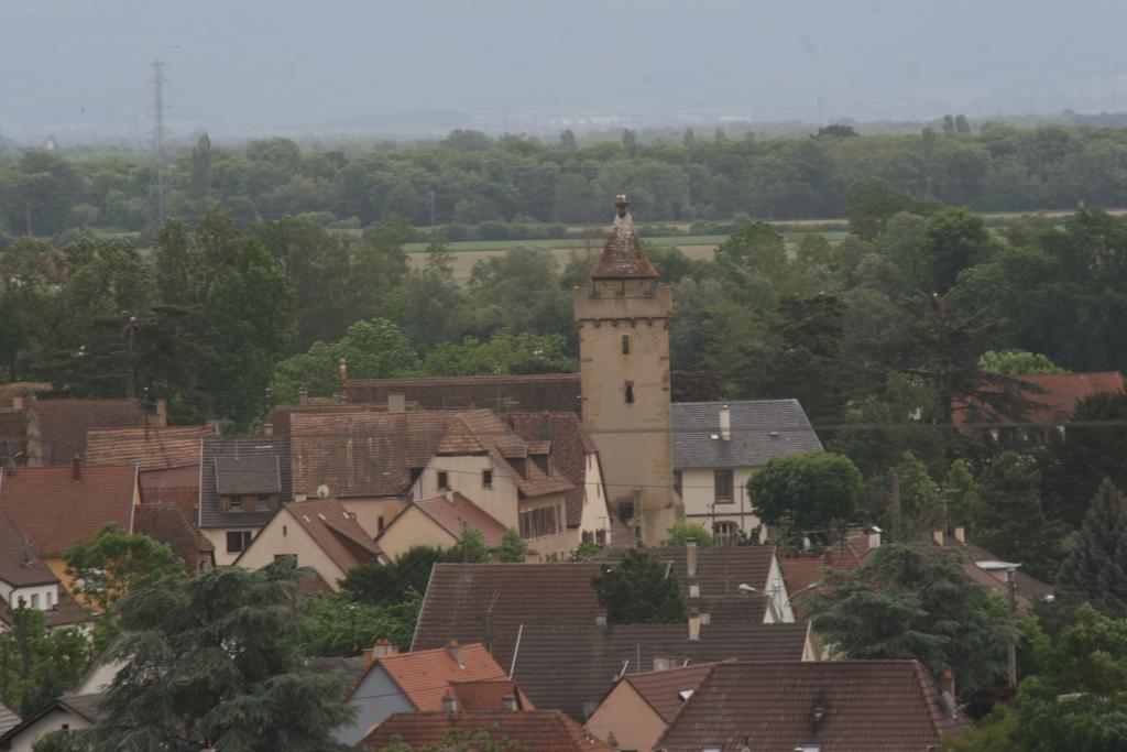 Gite Duplex Du Vignoble Alsace 鲁法克 外观 照片
