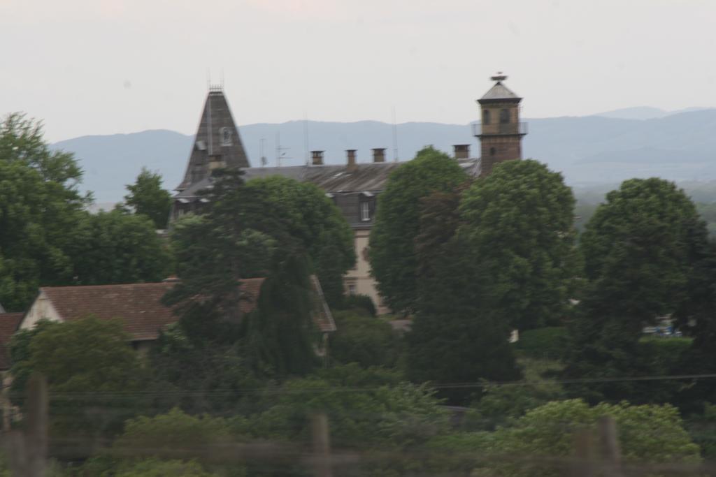 Gite Duplex Du Vignoble Alsace 鲁法克 外观 照片