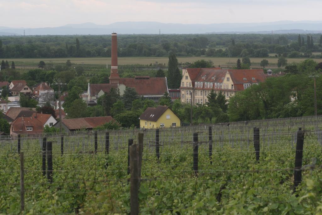 Gite Duplex Du Vignoble Alsace 鲁法克 外观 照片